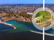 Нашестя сарани