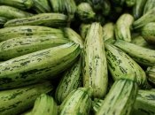 Чем подкармливать кабачки