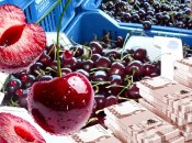 Цены на черешню в Украине