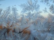 Морозные узоры
