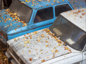 Старые автомобили