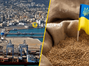 Це не перший корабель з зерном з окупованих територій України, що хотіли розвантажити в Хайфі