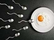 10 симптомов овуляции: как определить овуляцию по ощущениям