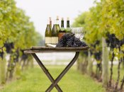 facebook.com/ukrvynprom