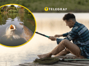 В Ровенской области поймали пятикилограммового карпа