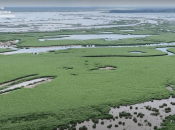 Каховське водосховище зараз