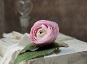 Шевченківська премія 2020: хто став лауреатами