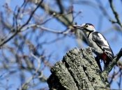 Якою погодою порадує українців День закоханих