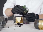 Добавьте активированный уголь в почву