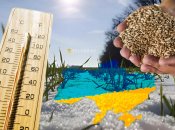 Нынешний урожай зерновых превысил ожидания. Фото Коллаж "Телеграфа"