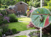 Шкідливого клопа помітили в Україні