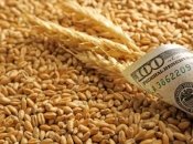 Пошлины введут на зерно и масличные культуры