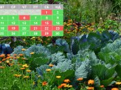 Названо сприятливі дати для посадки рослин у квітні 2023 року