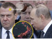 Дмитрий Медведев