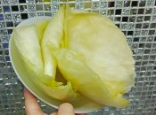 Капуста для голубцов