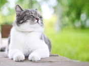 Узнайте, кто в списке счастливчиков