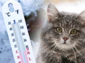 Погода в Украине