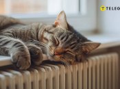 В період вимкнень світла утеплення будинку є дуже важливим