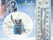 Погода взимку