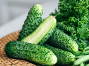 Коли треба збирати огірки