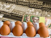 Яйца Коллаж: Телеграф