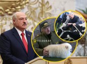 Лукашенко має не лише домашніх улюбленців, а й цілу ферму різних тварин