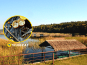 Бокальчики полосатые