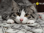 Повезет только трем знакам Зодиака