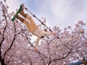 Приметы весны для детей