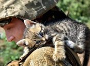 Не всем нравится военная служба