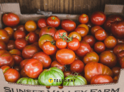 Идеально для томатной заготовки