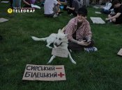 Протестувальники принесли плакати з прізвищем Білецького