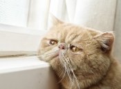 Кому из знаков Зодиака не повезет в сентябре 2022 года