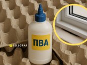 Утеплить дом помогут лотки из-под яиц и клей