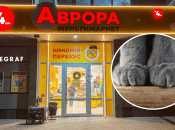 Кіт в "Аврорі"