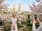 Де цвітуть магнолії у Києві