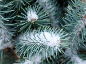 Погода в Україні