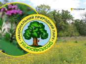 Що цікавого росте у Національному природному парку "Голосіївський"