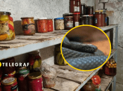 В погребе может быть не только консервация