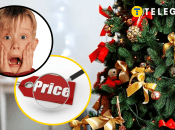 Ціни на ялинки в Одесі