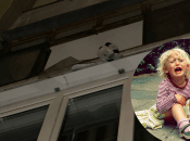 Ребенок выпал из окна