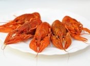 Все буде смачно 04.07.2015: аппетитные вареные раки