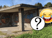 На остановке увидели коня