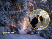 Зимовий ліс, власник зі своїм "коконом"