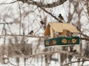 Сьогодні 24 січня 2024 року свято — День преподобної Ксенії Римської (раніше 6 лютого)