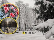 Погода в Кременчуге