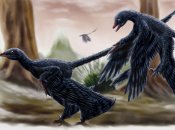 Микрораптор