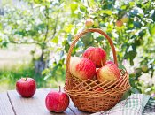 Куда их лучше всего положить