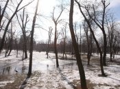 Погода в лютому