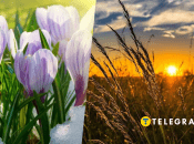 Погода весной и летом